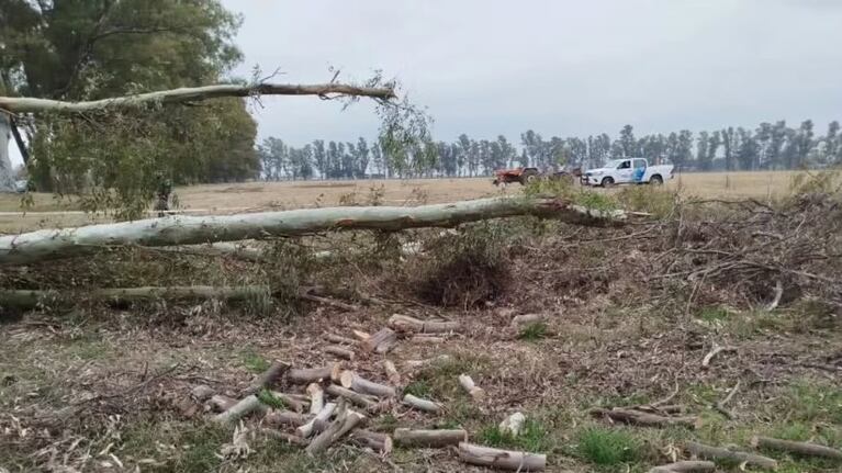 El hombre quedó debajo de una rama y murió.