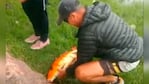 El hombre se sacó una foto con el animal y luego lo devolvió al agua.