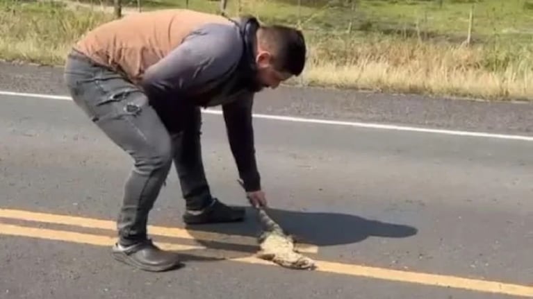 El hombre tuvo un acto de empatía y ahora lucha por su vida.