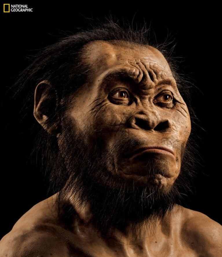 El Homo Naledi, antecesor del hombre. Foto: AP