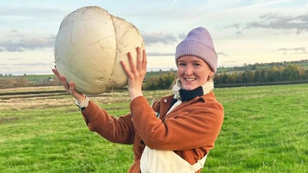 El hongo gigante que apareció en un campo de Inglaterra.