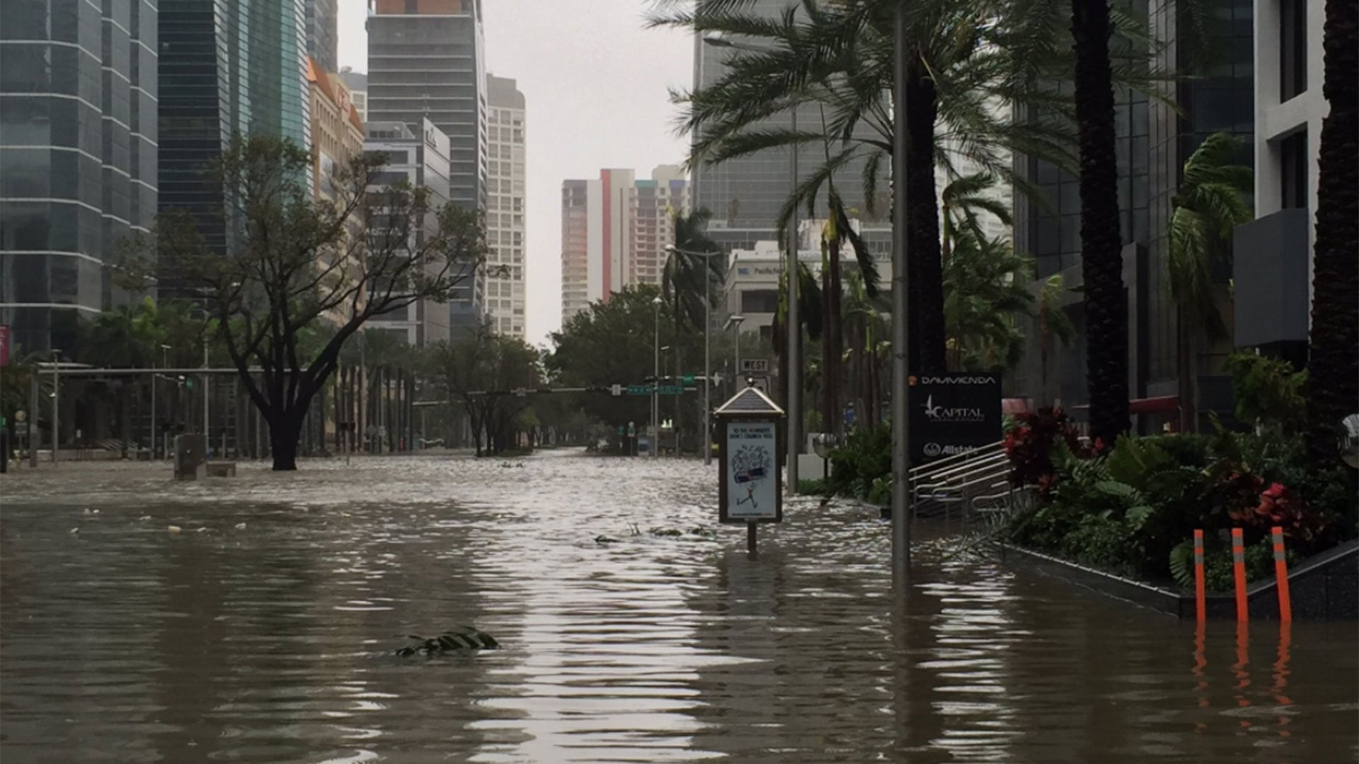 El huracán Irma causó desastres en Miami y otras zonas de Florida.