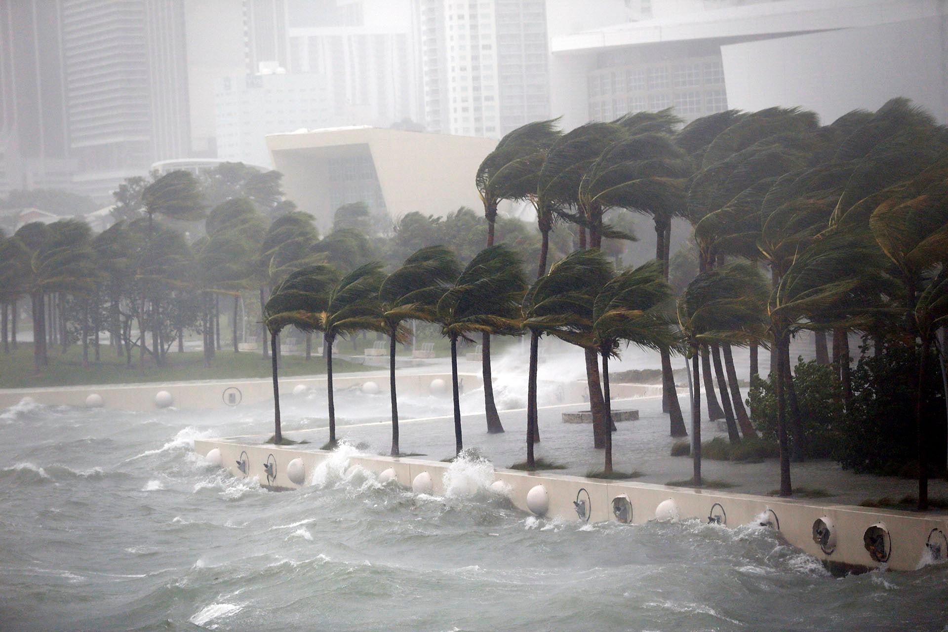 El huracán Irma causó desastres en Miami y otras zonas de Florida.