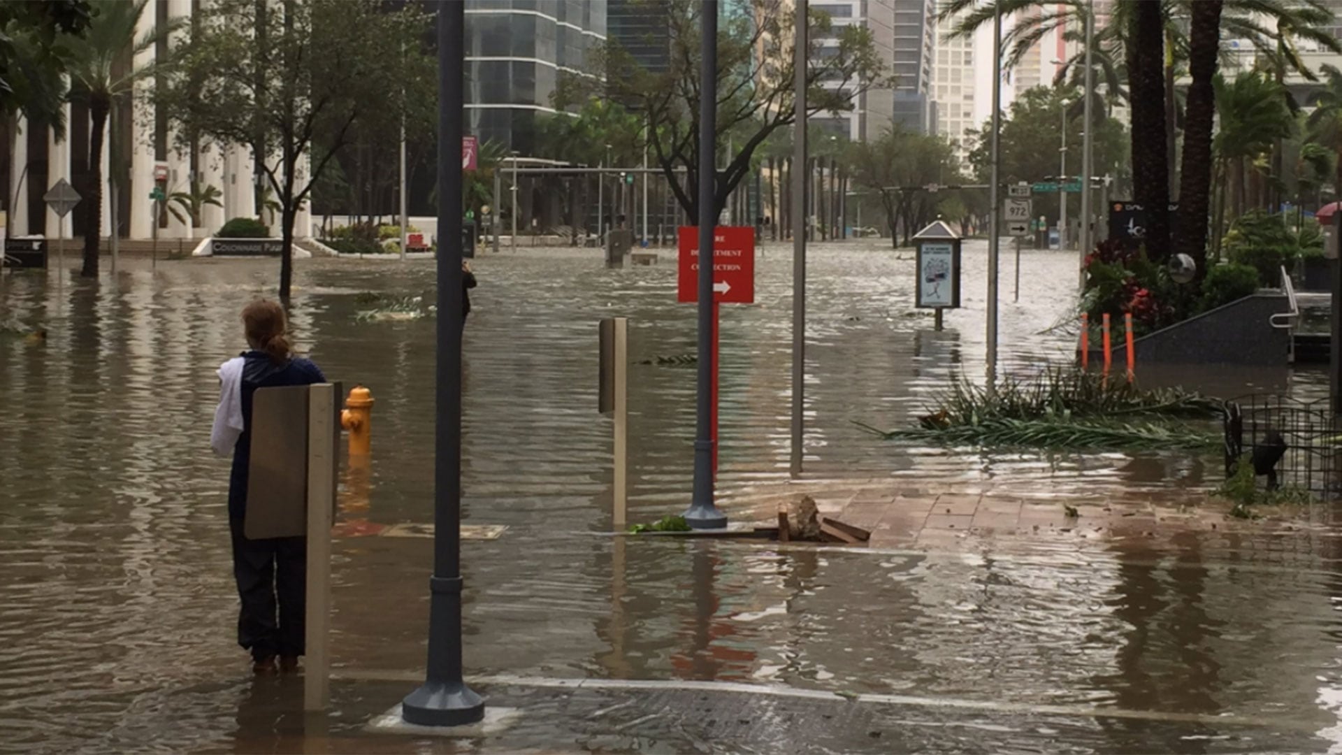 El huracán Irma causó desastres en Miami y otras zonas de Florida.