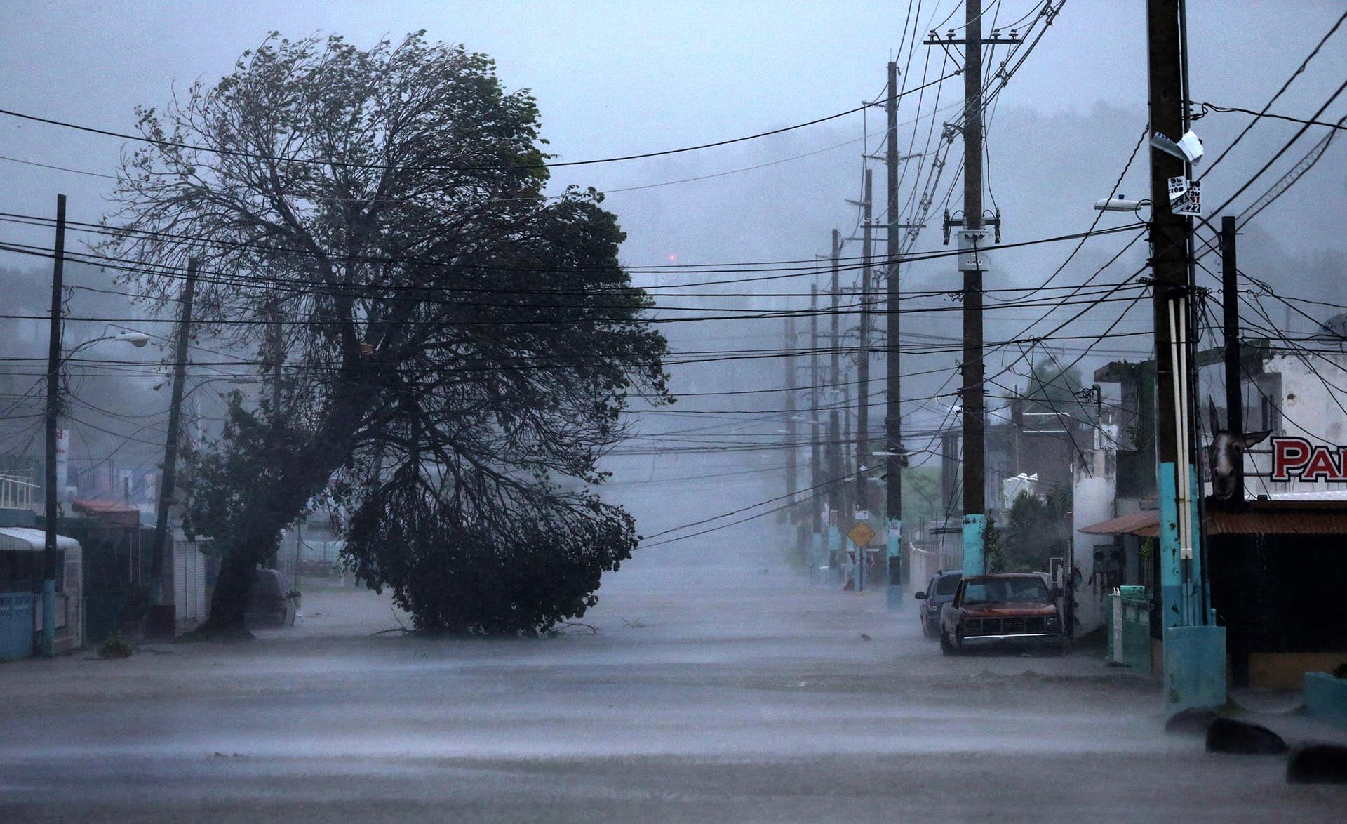 El huracán Irma causó desastres en Miami y otras zonas de Florida.