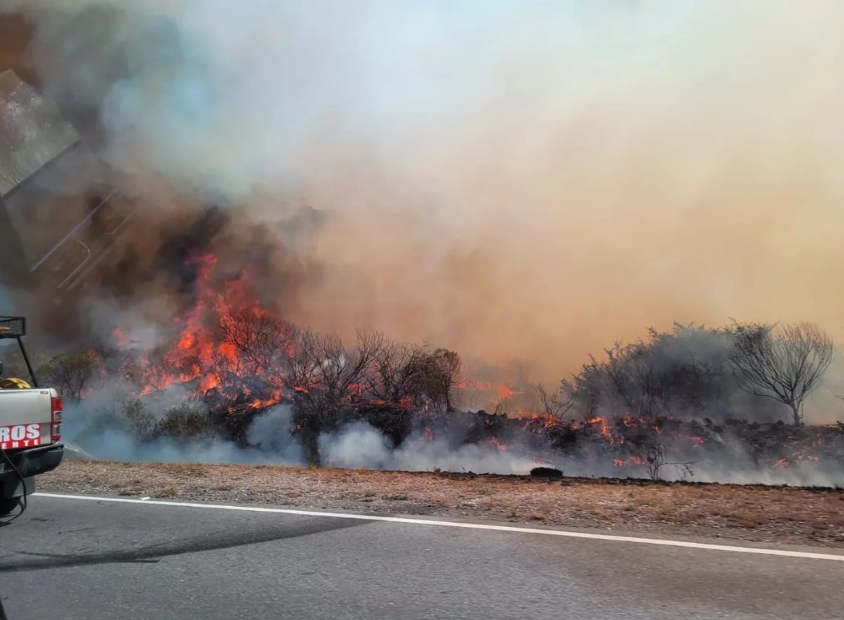 El incendio comenzó por un auto (Gentileza)