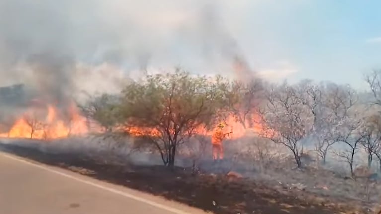 El incendio desarrollado en la zona de San Carlos Minas.