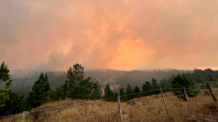 El incendio originado en la zona de El Durazno.