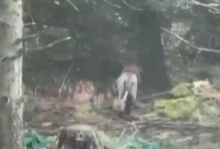 El insólito hecho ocurrió en Irlanda.