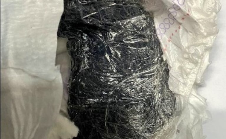 El insólito objeto en el que intentó ingresar drogas a Bouwer,