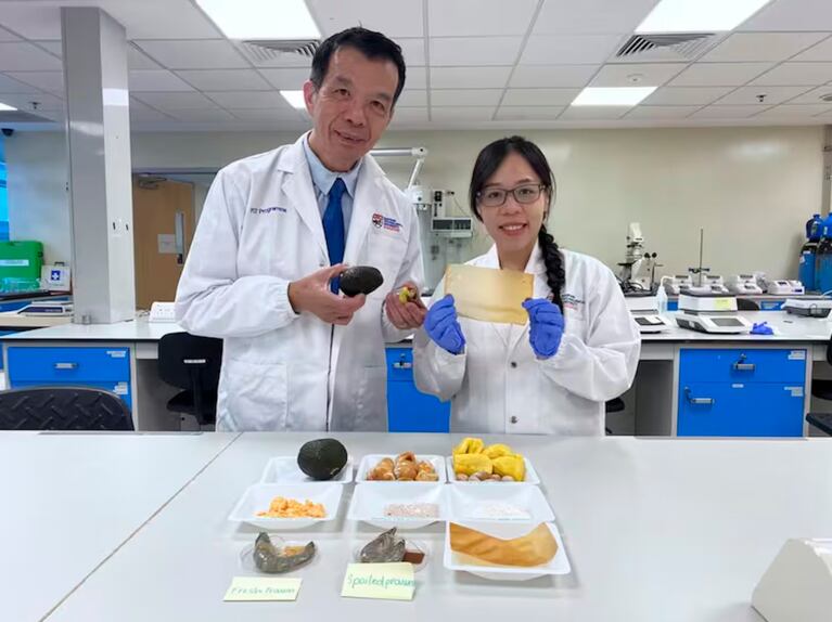 El invento fue desarrollado por científicos en Singapur. (Foto: NTU Singapore)