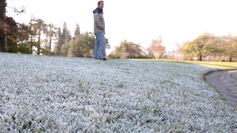 El invierno llegó con todo: julio arranca con heladas en Córdoba