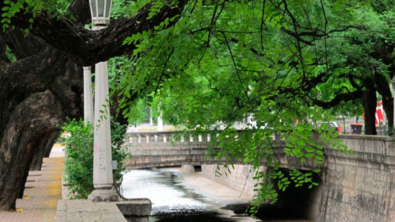 El invierno se mantiene firme en Córdoba. 