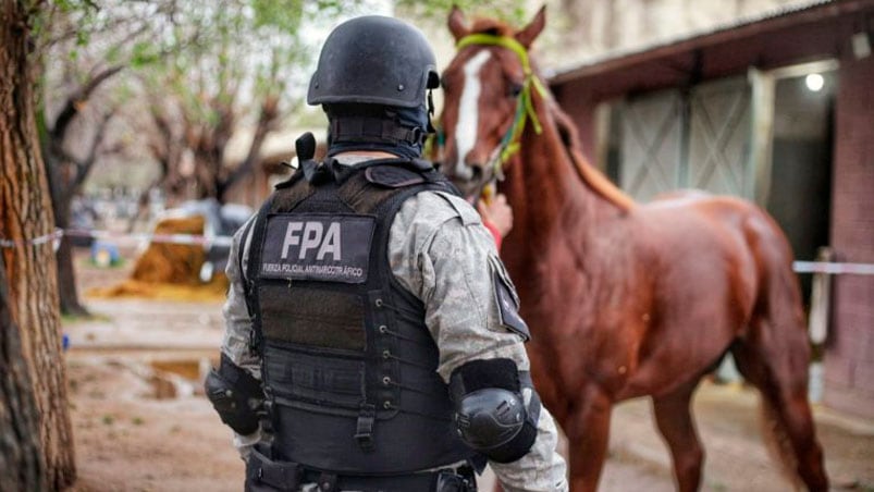 El jefe de la banda narco fue detenido en el predio del Hipódromo del Jockey.