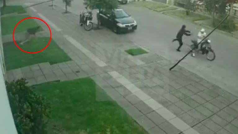 El joven saltó de un balcón y evitó que le robaran la moto.