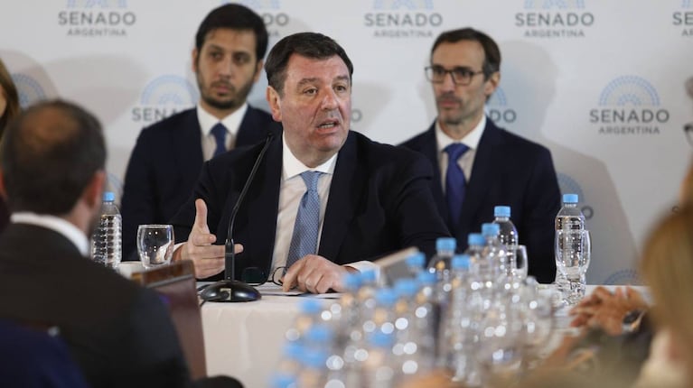 El juez federal, Ariel Lijo, en su presentación en el Senado en defensa de su candidatura a la Corte Suprema. 