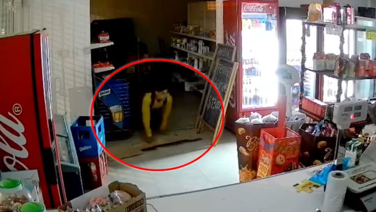 El ladrón en modo gato para robar en el almacén.