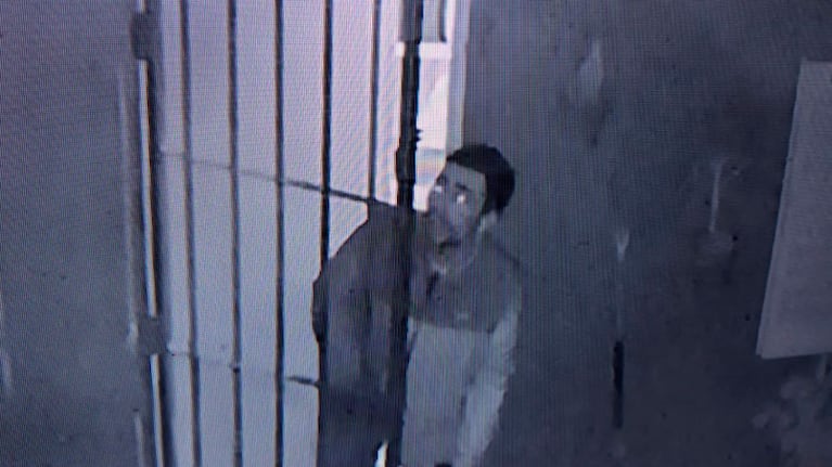 El ladrón fue captado por las cámaras de seguridad.