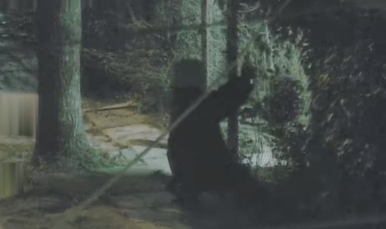 El ladrón fue visto "in fraganti" en pleno acto de robo.