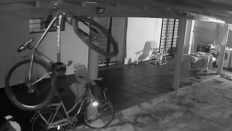 El ladrón no tuvo que entrar a la casa para robar.