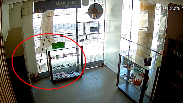 El ladrón "pescador" quedó filmado en un local de avenida Vélez Sarsfield.