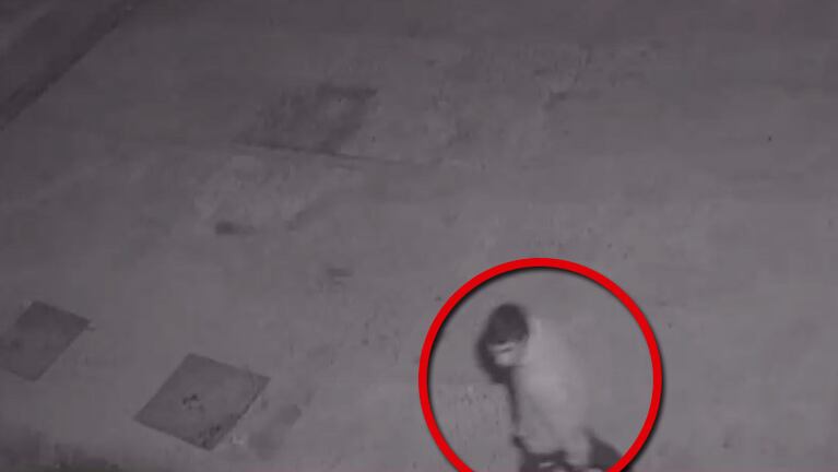El ladrón quedó filmado, el dueño del local lo vio en directo y lo detuvieron.