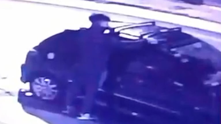 El ladrón quedó filmado en pleno robo.