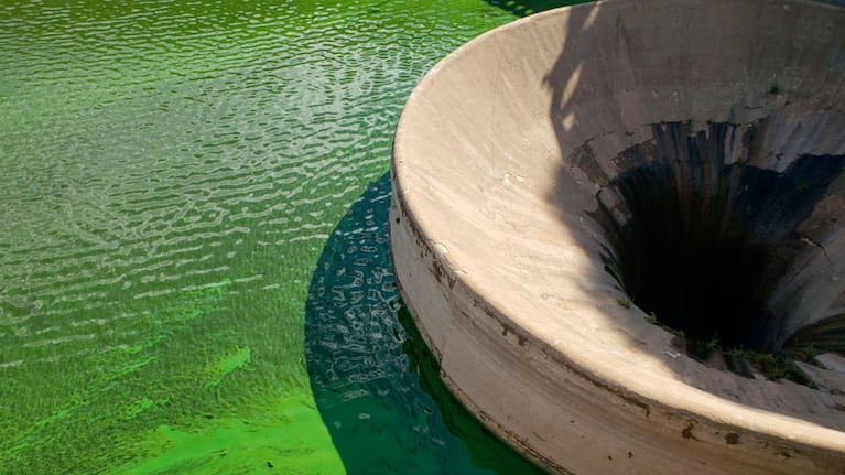 El lago San Roque cubierto de algas verdes.