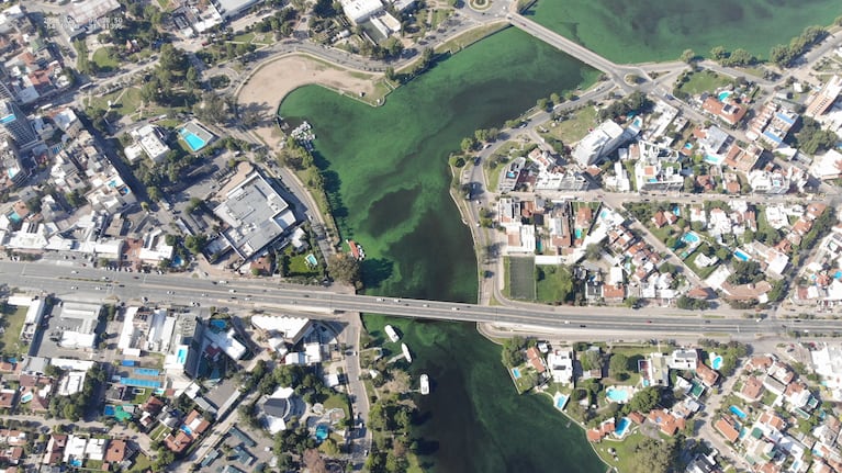 El lago se volvió verde por la floración de las algas. Imágenes: GP Soluciones