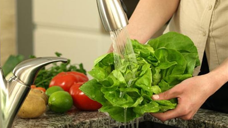 El lavado de frutas y verduras, la cocción de carne y la higiene son fundamentales para evitar la enfermedad.