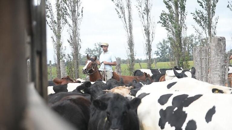 El legado del campo y el valor de la familia en Pampayasta Norte