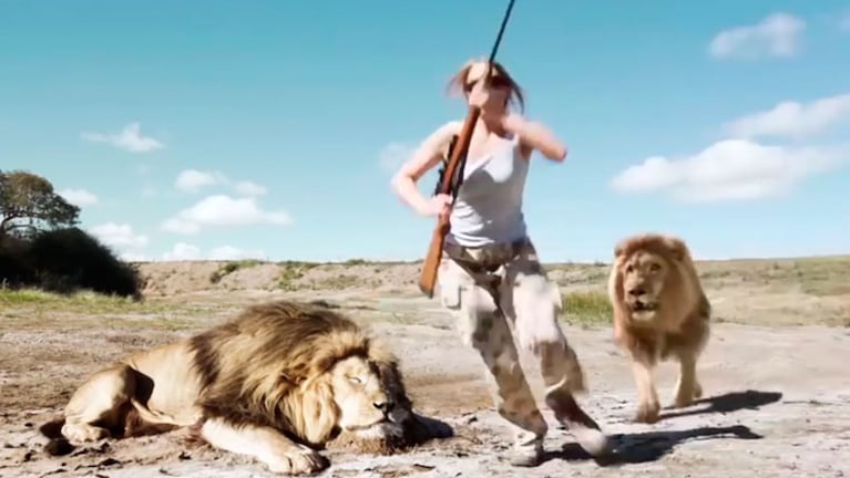 El león intentó cobrar venganza contra los cazadores furtivos.