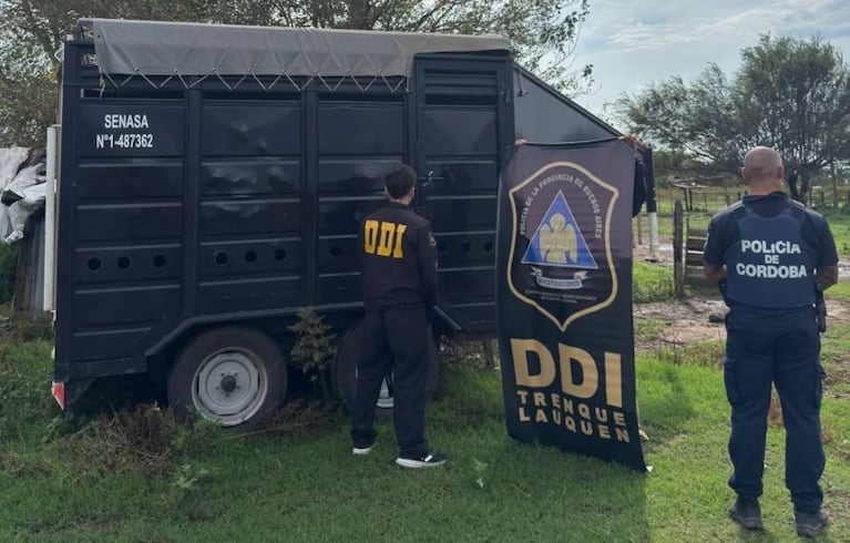 El Los caballos desaparecieron en un campo de Buenos Aires.