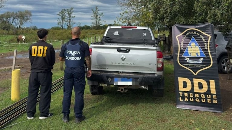 El Los caballos desaparecieron en un campo de Buenos Aires.