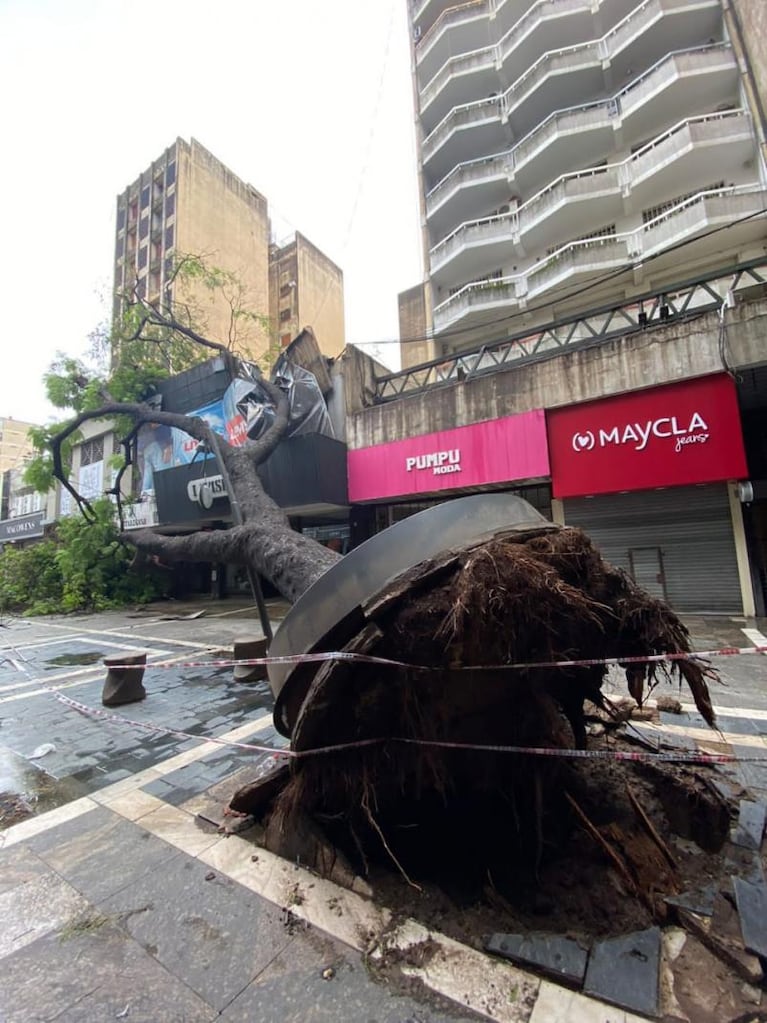 El lugar de Córdoba adonde más llovió y la impactante cantidad