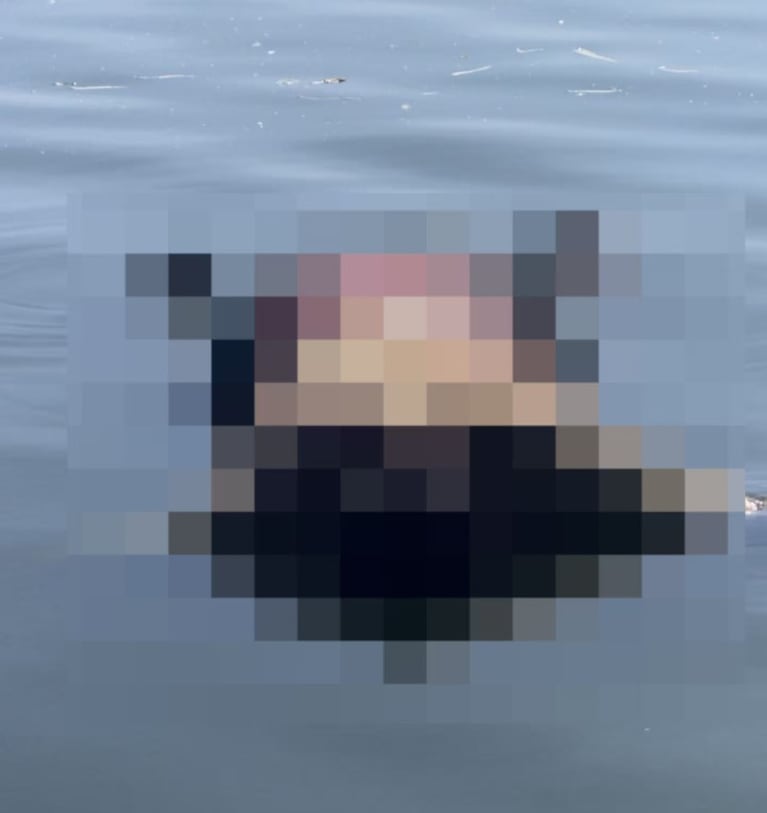 El lugar donde hallaron el cuerpo.