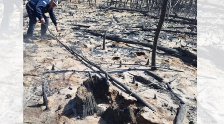 El lugar donde inició el incendio, según el Ministerio Público Fiscal.