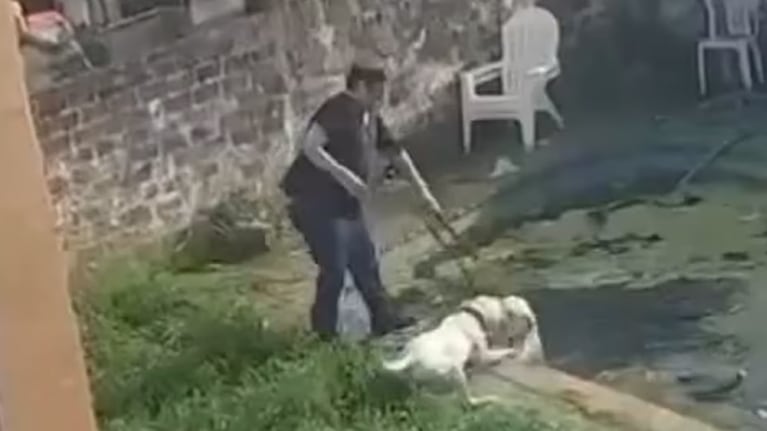 El maltratador de perros fue detenido el fin de semana en la casa donde tenía los animales.