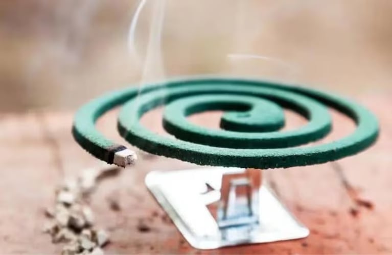 El maple de huevos, la clave para un repelente casero y natural.