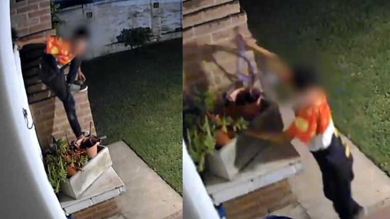 El menor fue grabado robando nuevamente en barrio San Salvador.