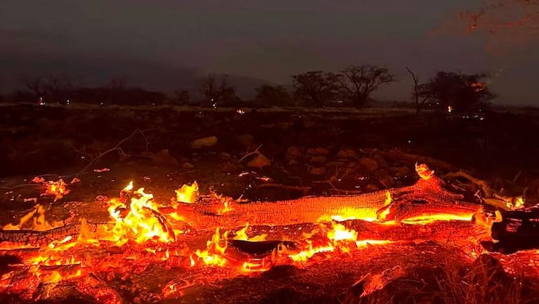 El mensaje del fuego que devoró una ciudad de Hawaii