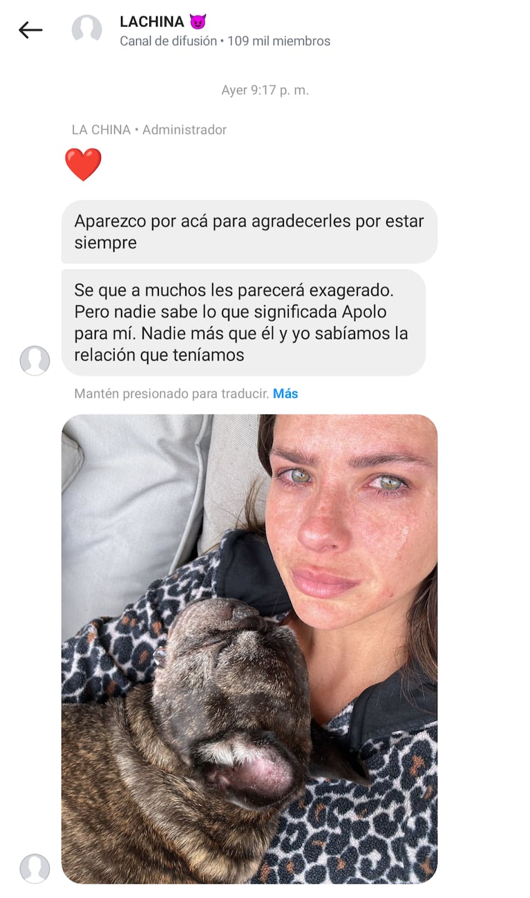 El mensaje que la China Suárez les envió a sus fanáticos en el canal de difusión. (Foto: Instagram/sangrejaponesa)