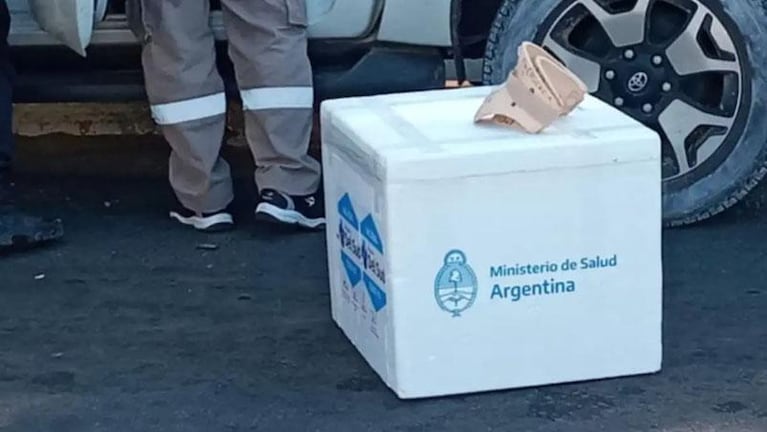 El ministro de Salud de Corrientes se descompensó y chocó: llevaba dos cajas de vacunas