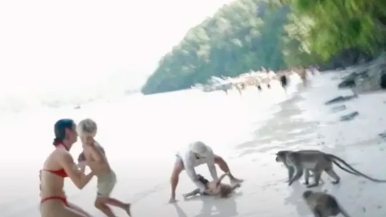 El momento del ataque de los monos al nene y su papá.
