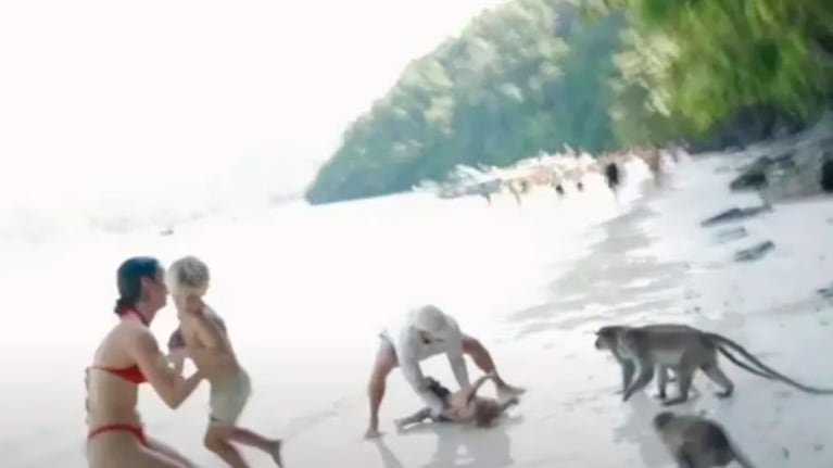 El momento del ataque de los monos al nene y su papá.