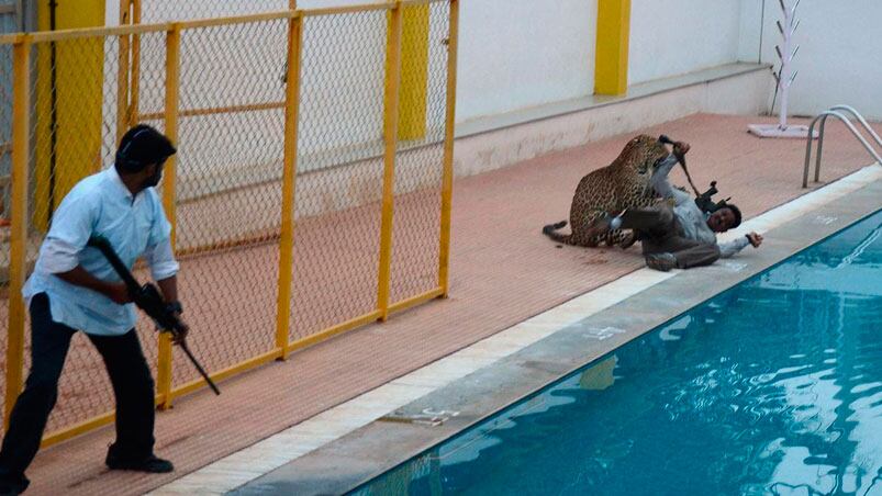 El momento del terrible ataque del leopardo a un policía.