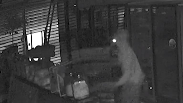 El momento en el que el ladrón entró a la despensa y robó.
