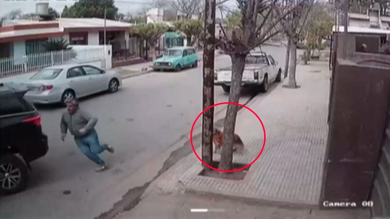 El momento en que el dueño corrió para detener la camioneta.