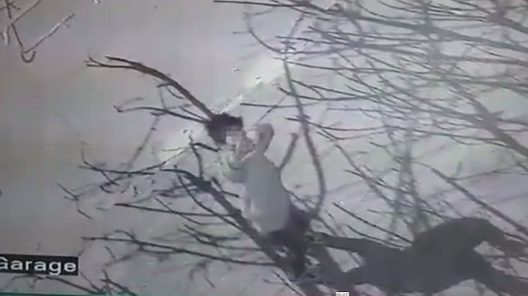 El momento en que el niño apunta y dispara su gomera. / ElDoce.tv
