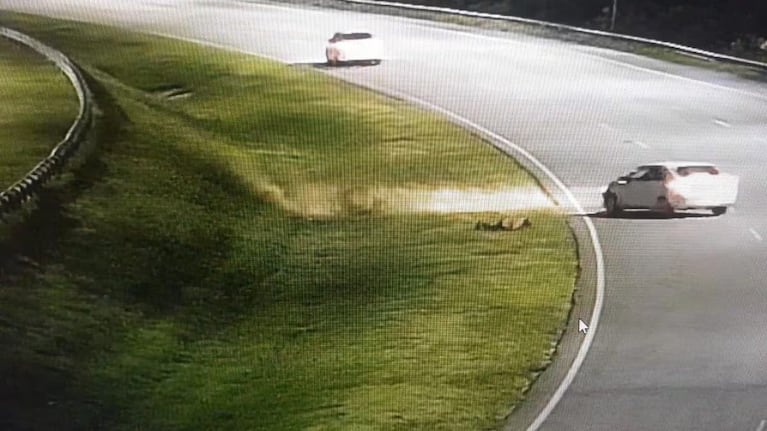 El momento en que el policía quedó tendido en la banquina de la ruta.